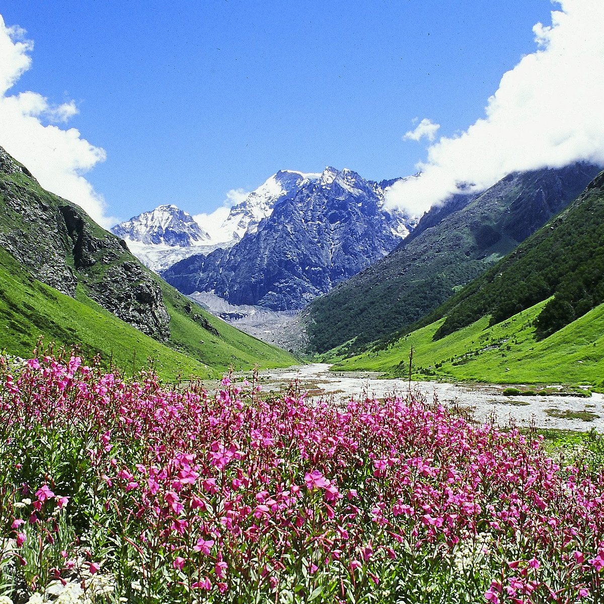 Valley of Flowers National Park UNESCO World Heritage Site trek Uttarakhand